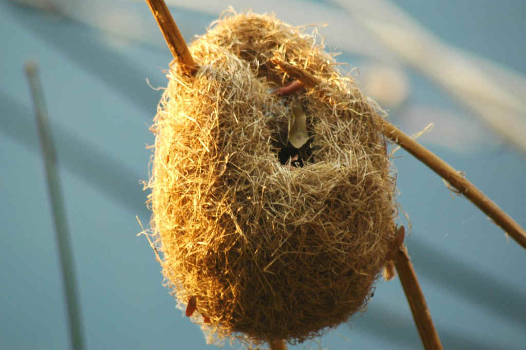 Namibia_Botswana_1045.JPG (142830 Byte)