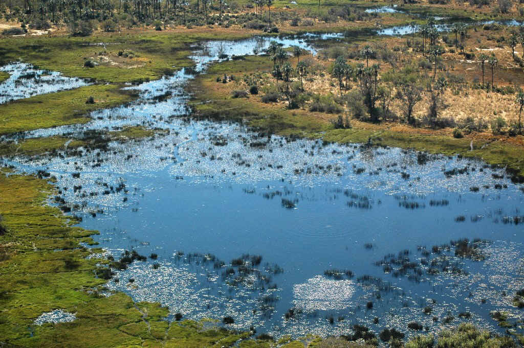 Namibia_Botswana_105.JPG (324764 Byte)