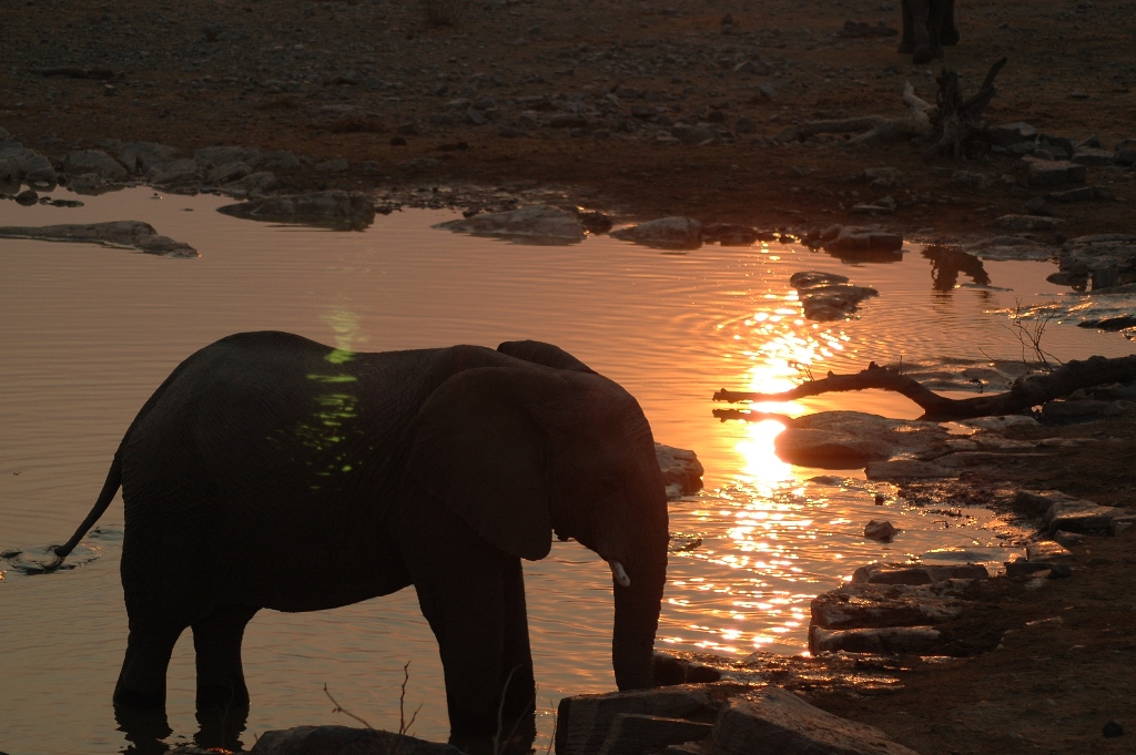Namibia_Botswana_1551.JPG (339387 Byte)