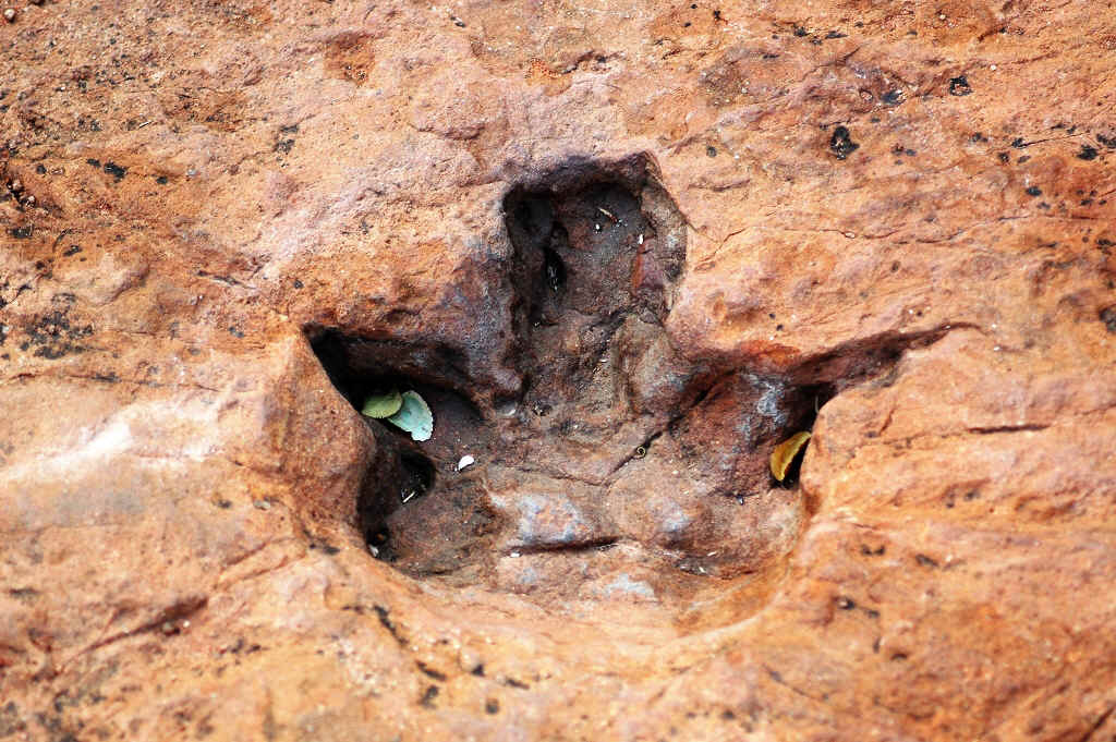 Namibia_Botswana_1760.JPG (555004 Byte)