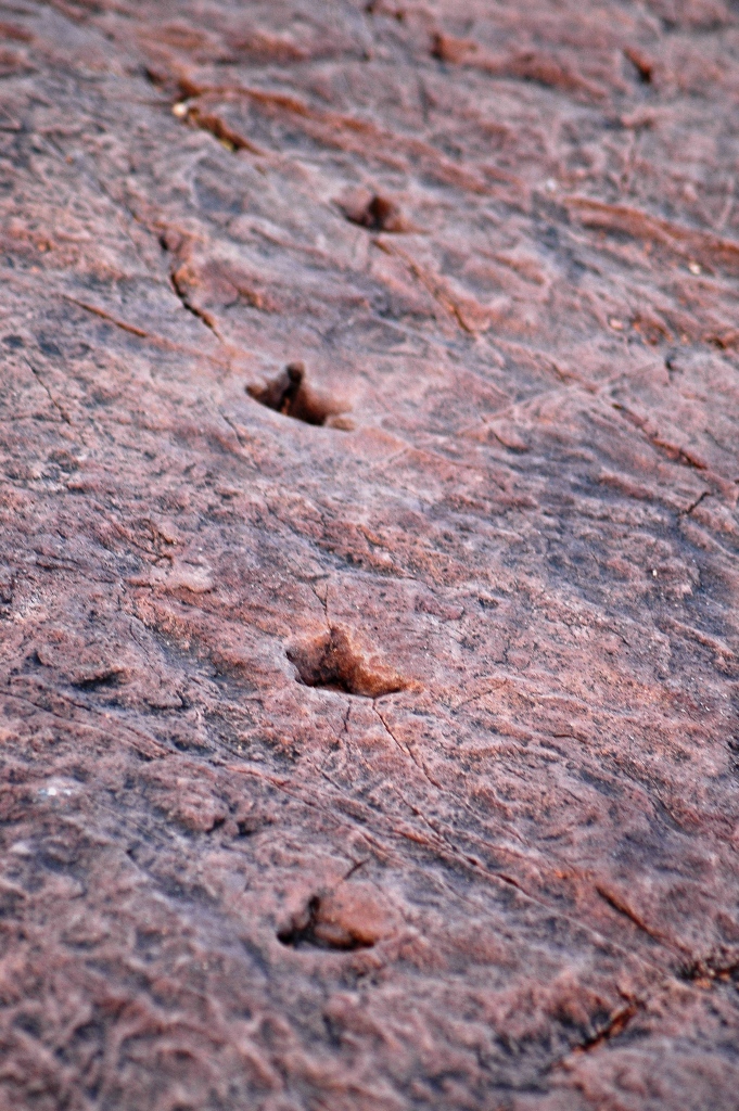 Namibia_Botswana_1762.JPG (468100 Byte)