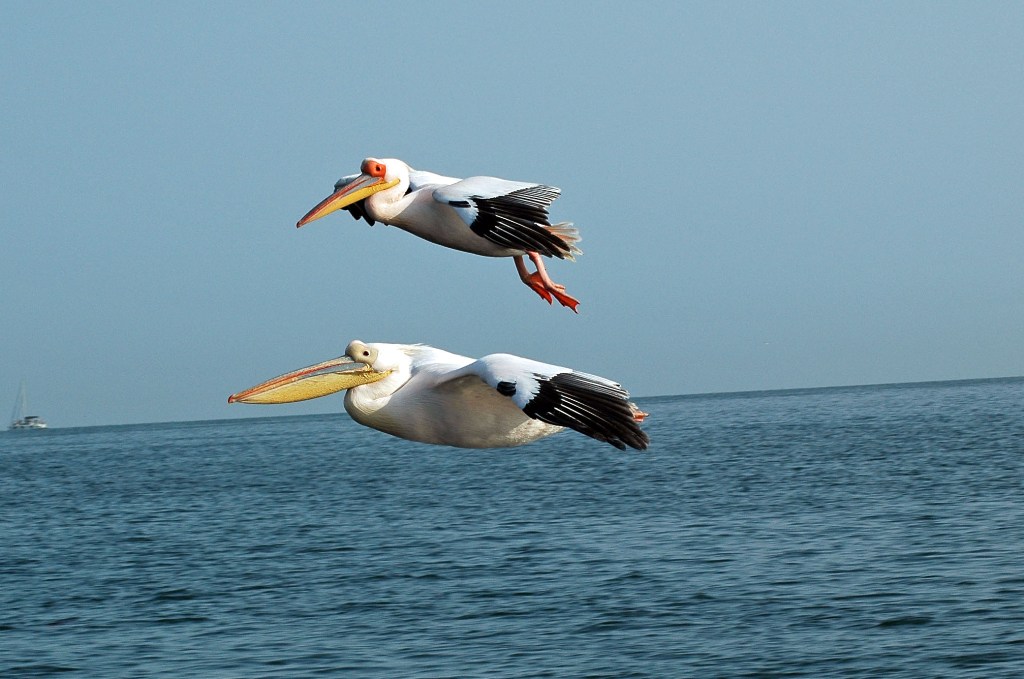 Namibia_Botswana_1920.JPG (137129 Byte)