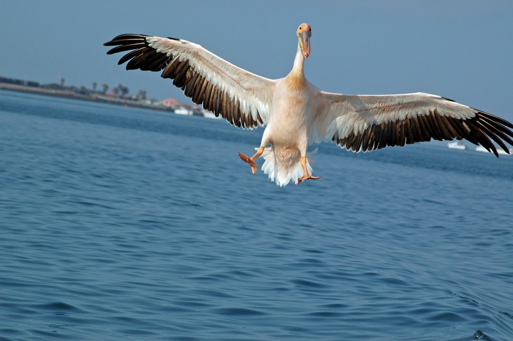 Namibia_Botswana_1957.JPG (126701 Byte)