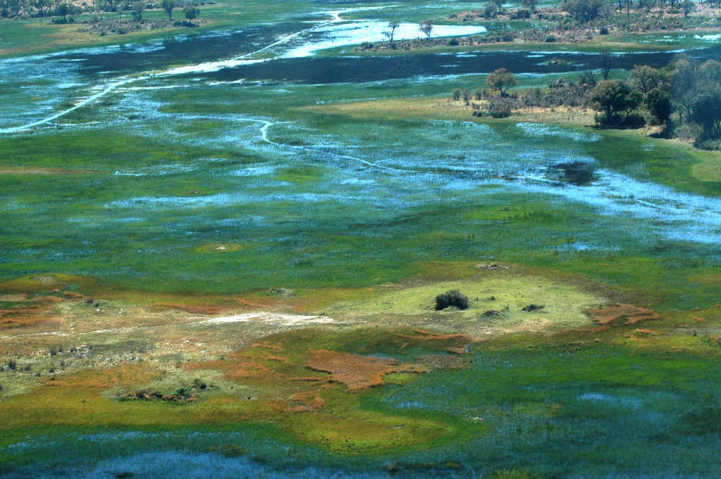 Namibia_Botswana_86.JPG (516414 Byte)