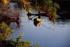 Popafalls2_5x3.jpg (15571 Byte)