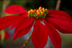 Tsumeb_Camping2_5x3.jpg (9794 Byte)