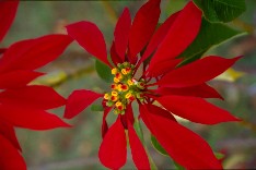 Tsumeb_Camping_5x3.jpg (11656 Byte)