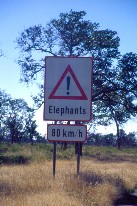 Caprivi1_3x5.jpg (14890 Byte)