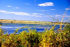 Chobe1_5x3.jpg (21181 Byte)