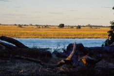 Chobe5_5x3.jpg (12942 Byte)