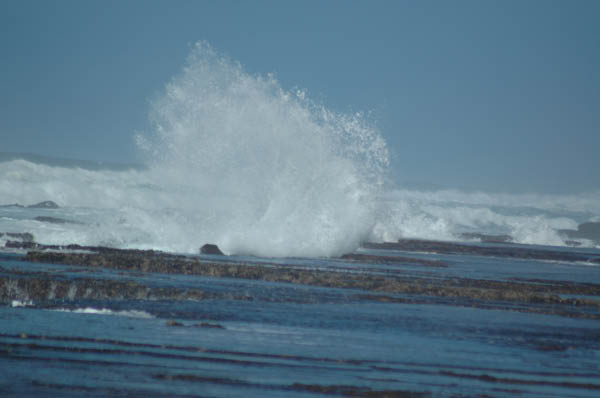 S�dafrika_1343.jpg (23185 Byte)