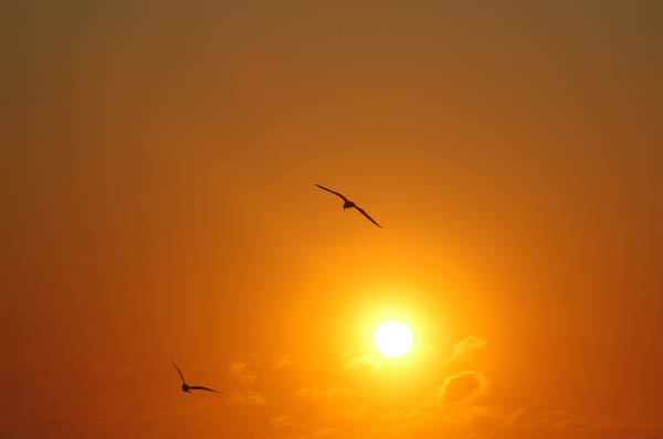 S�dafrika_1403.jpg (11820 Byte)